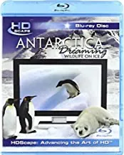 Antarctica Dreaming: Wildlife On Ice [Blu-ray]
