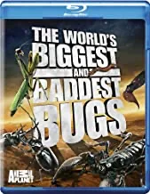 World's Biggest And Baddest Bugs (2009) [Blu-ray]
