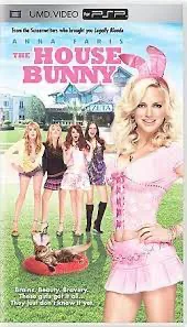 House Bunny